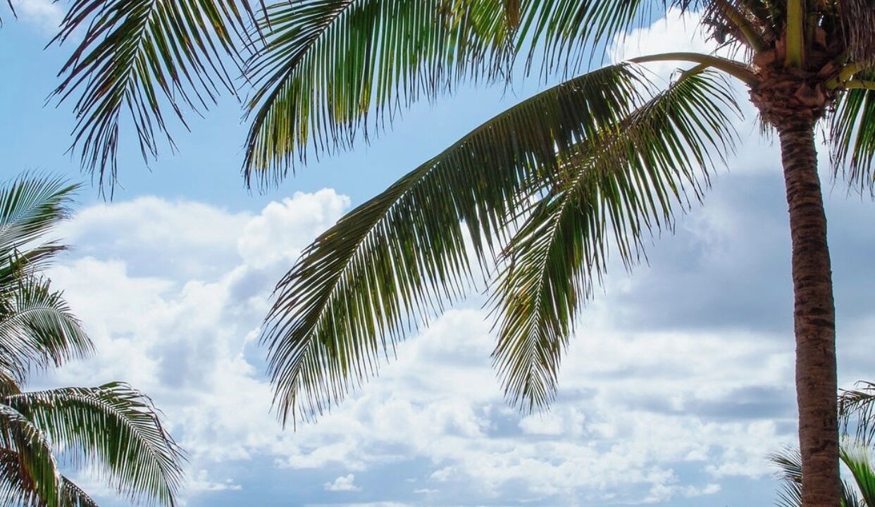 Photo of Others in Singer Island
