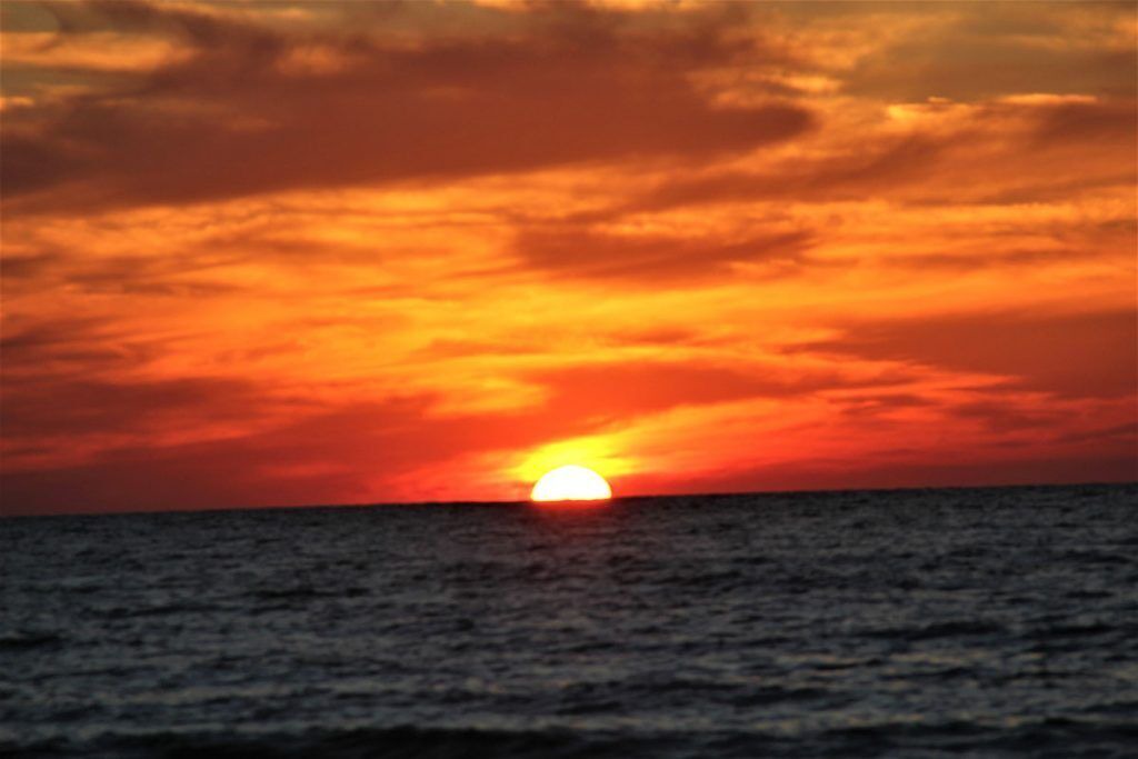 Photo of Others in Longboat Key