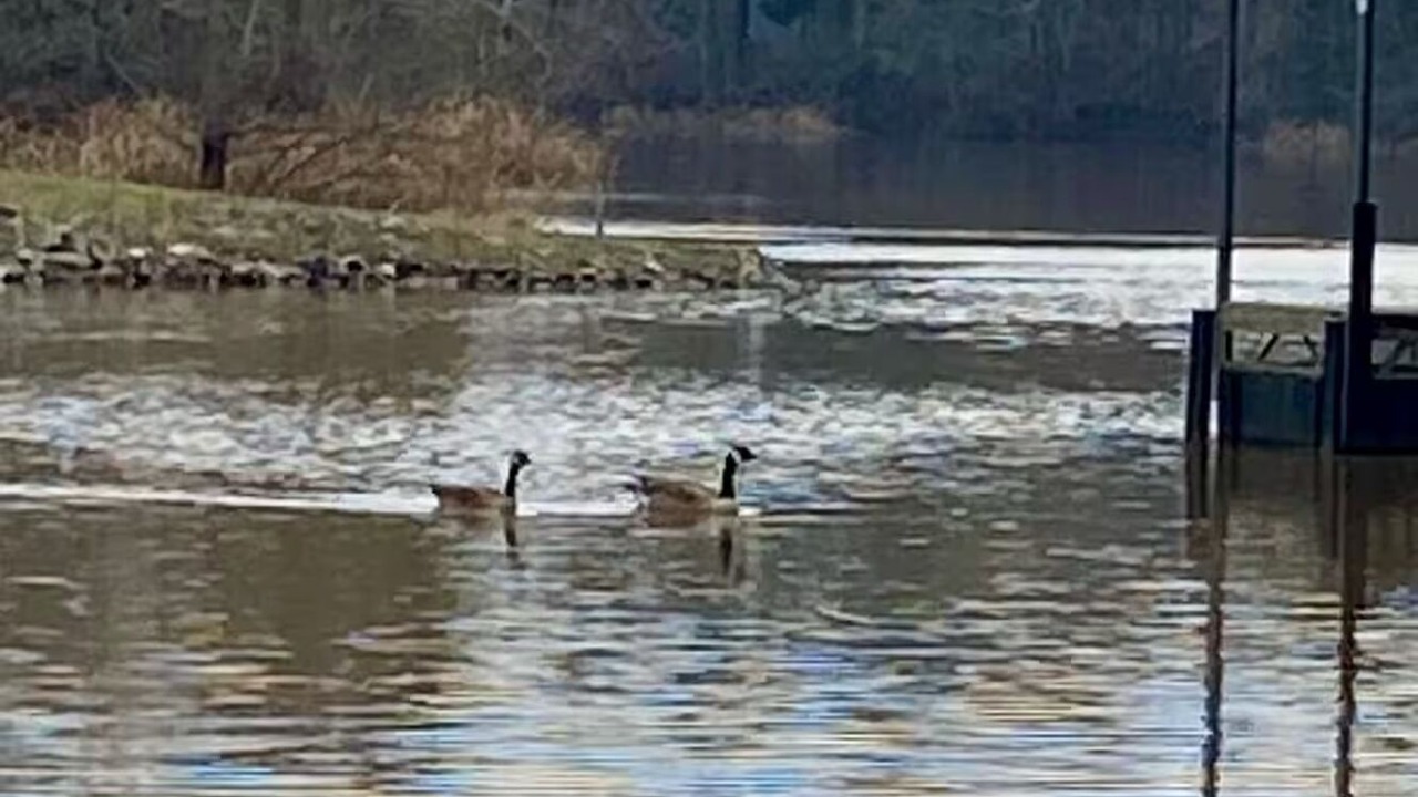 Photo of Others in Bainbridge