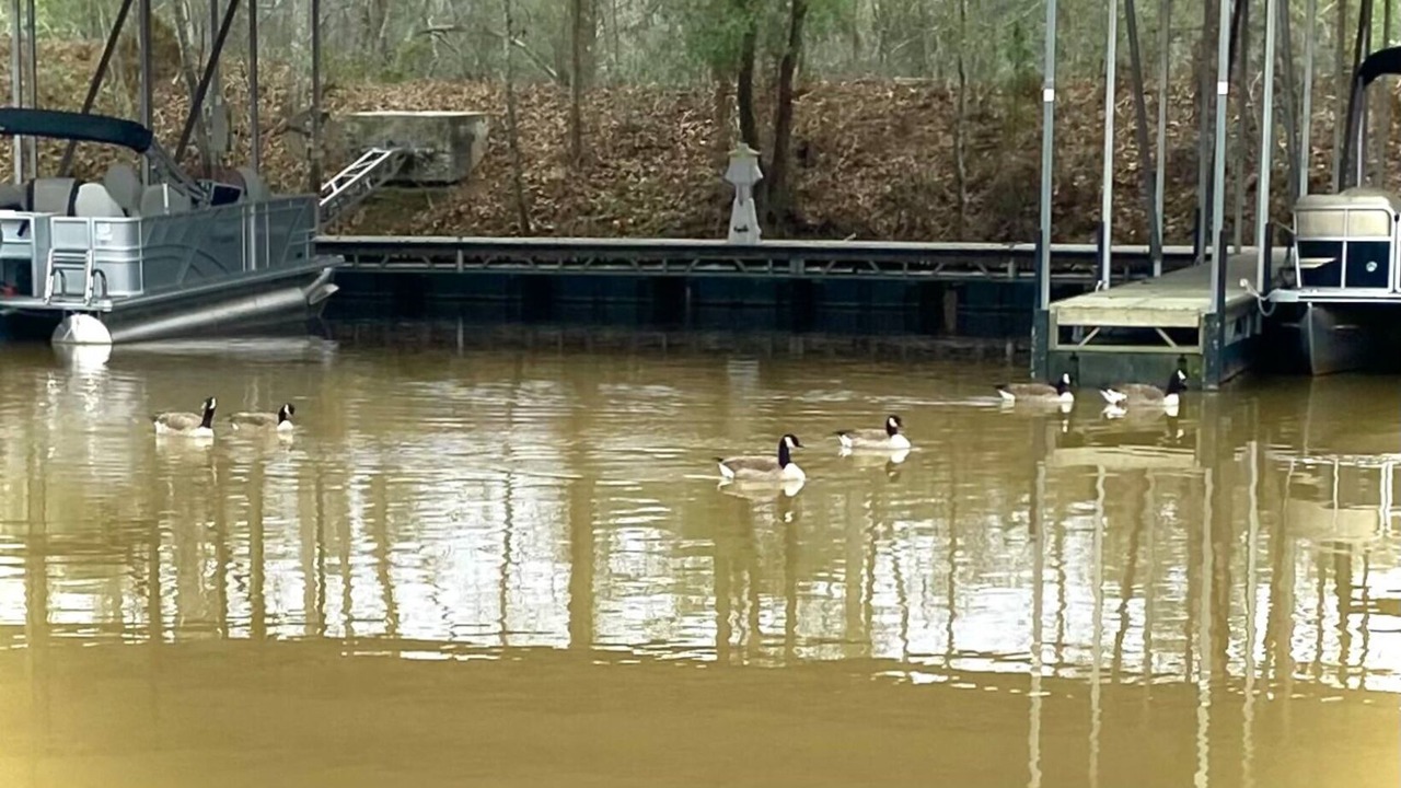 Photo of Others in Bainbridge