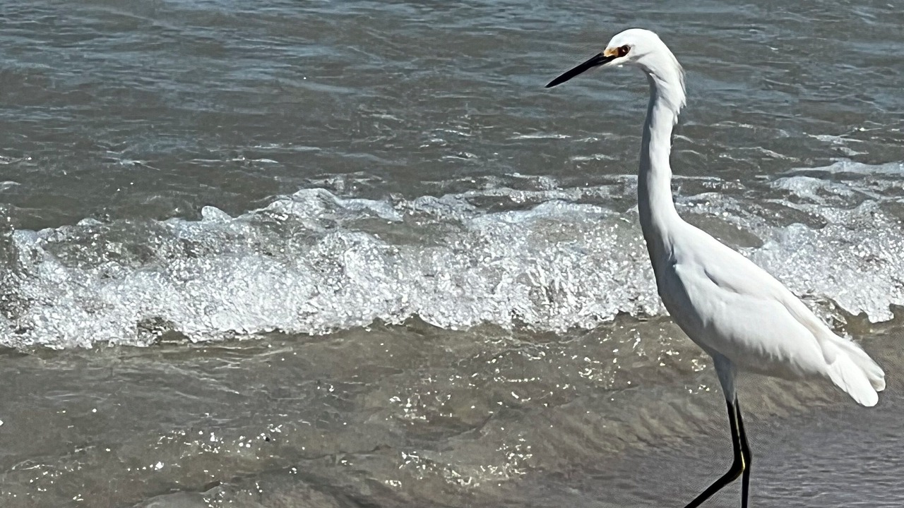 Photo of Others in Wildwood
