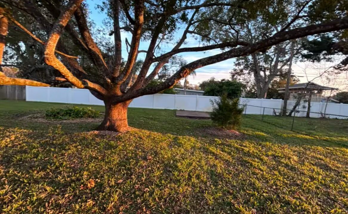 Photo of Outdoor in South Daytona