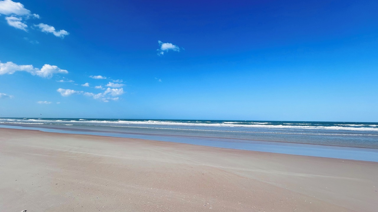 Photo of Others in South Daytona