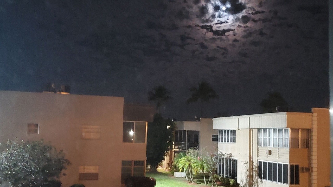 Photo of Outdoor in Kings Point