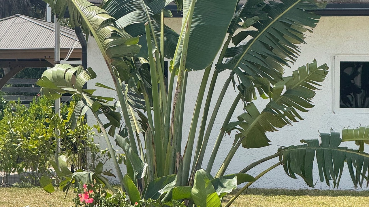 Photo of Outdoor in Davie