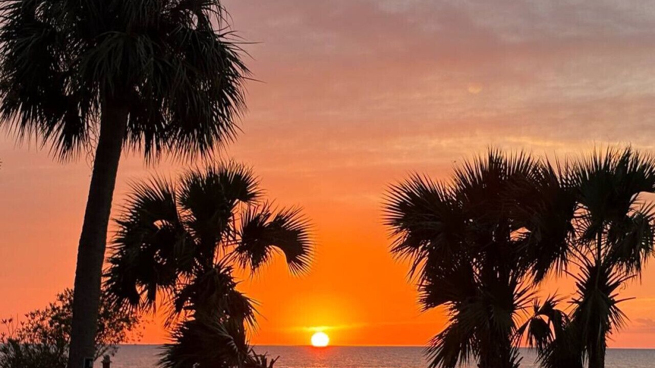 Photo of Others in Pine Island