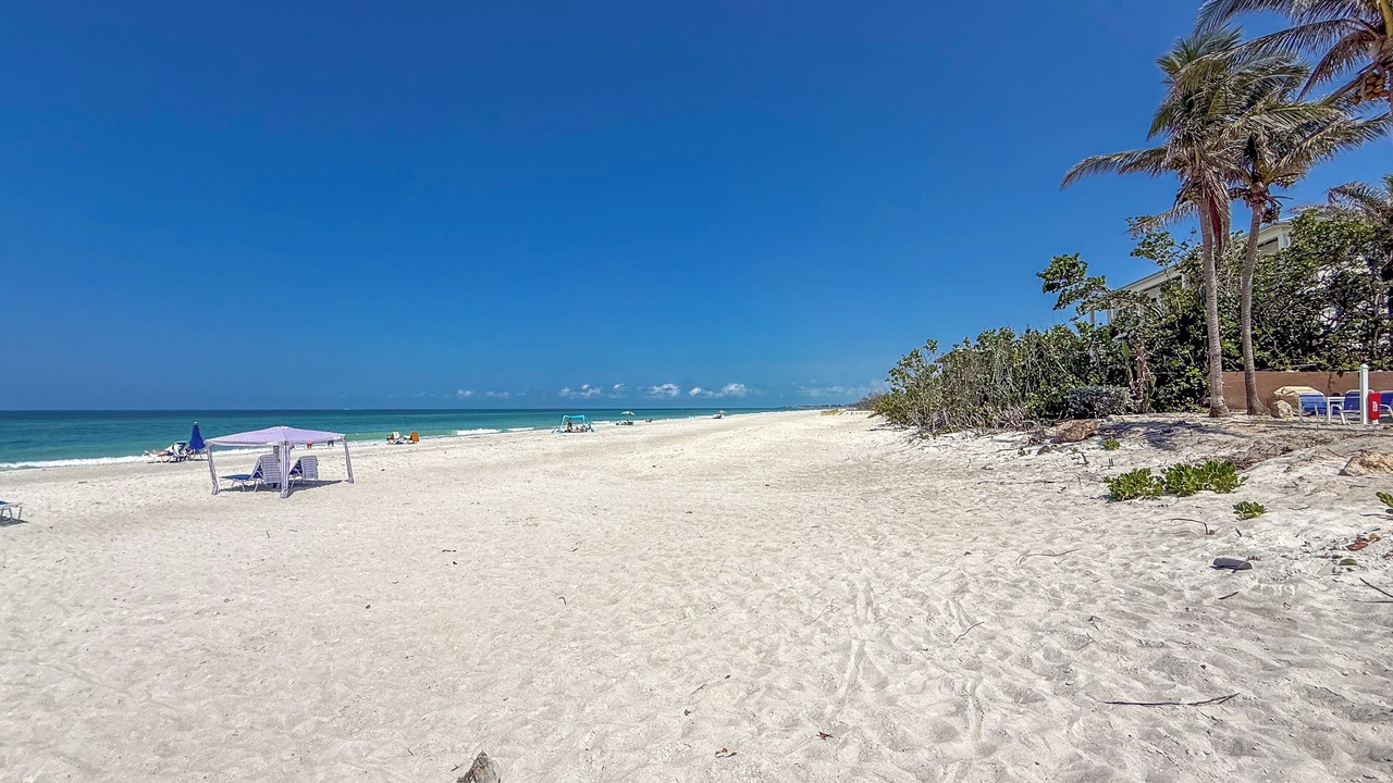 Photo of Others in Longboat Key