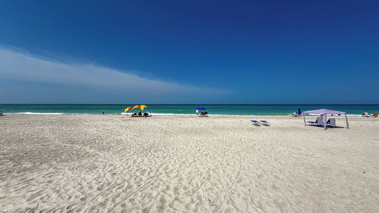 Photo of Others in Longboat Key