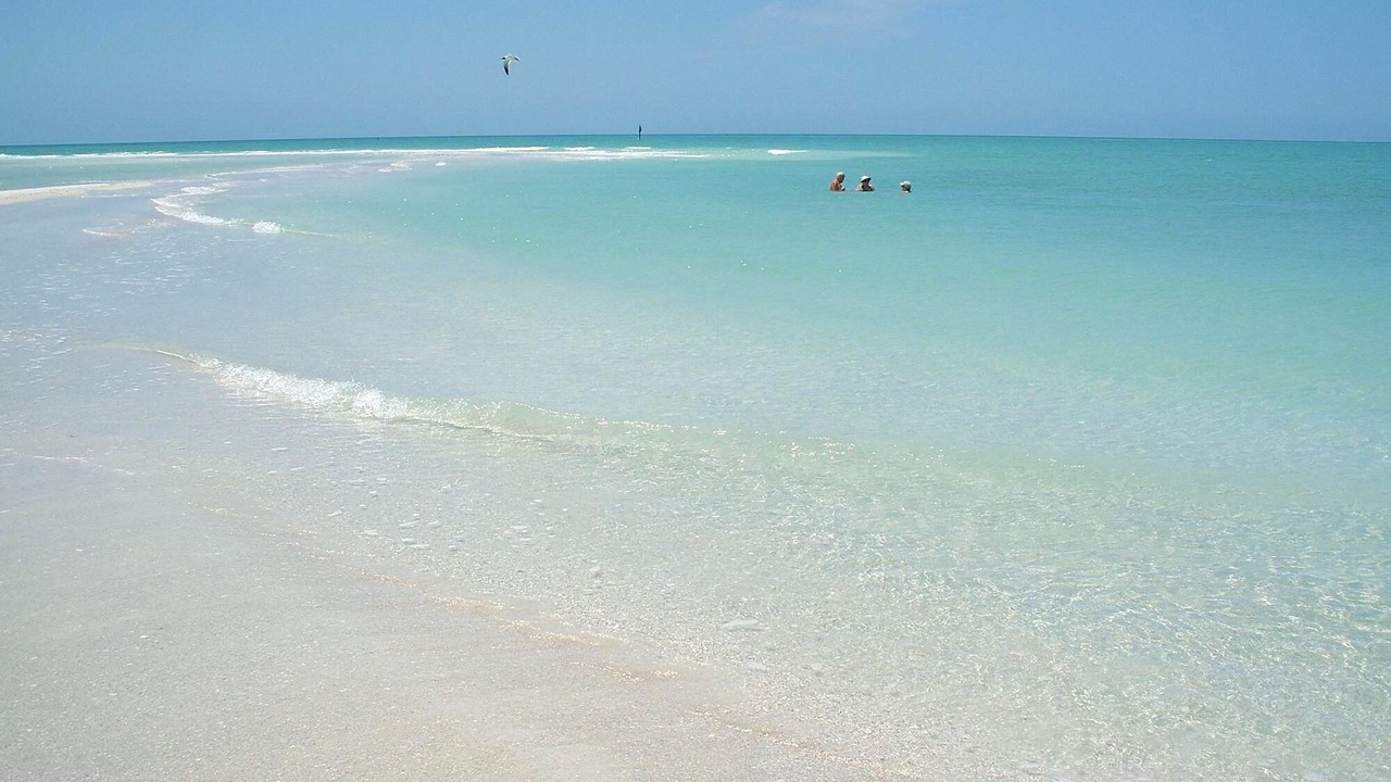 Photo of Others in Siesta Key Village