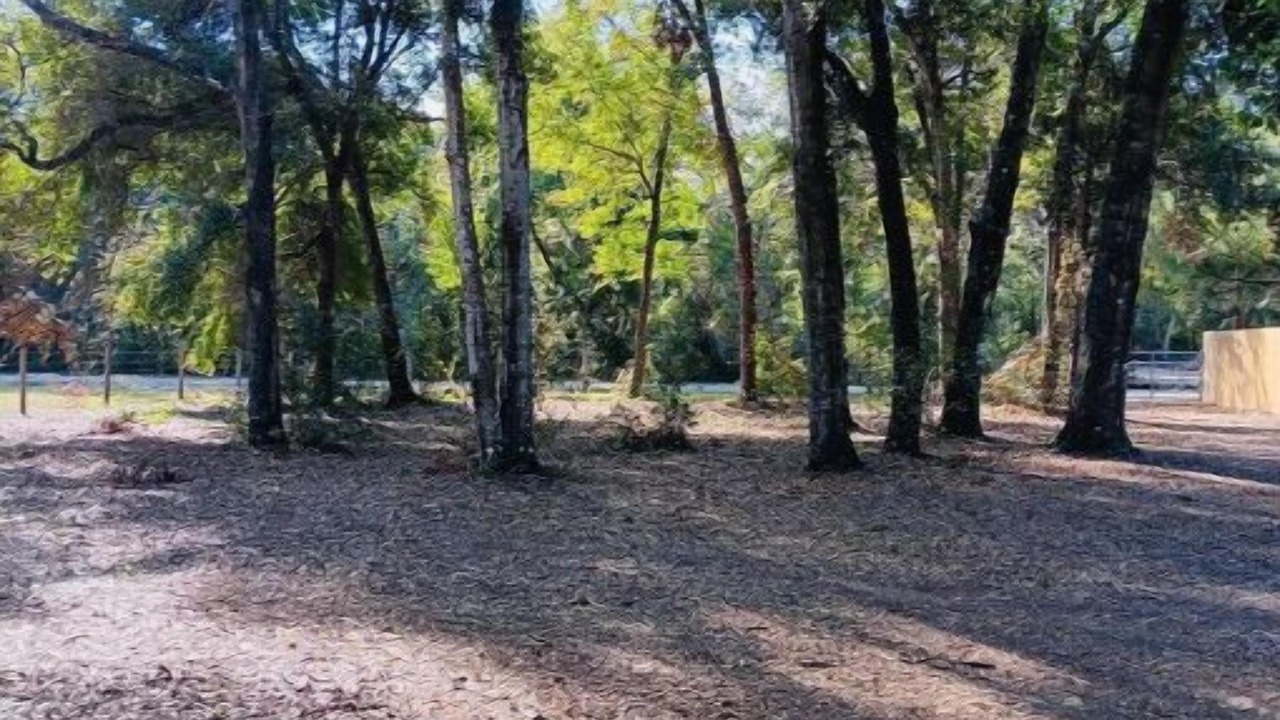 Photo of Others in Ocklawaha