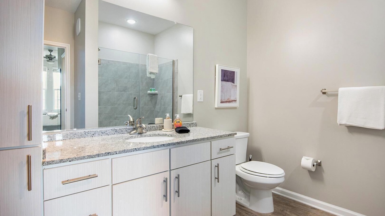 Photo of Bathroom in Land O' Lakes