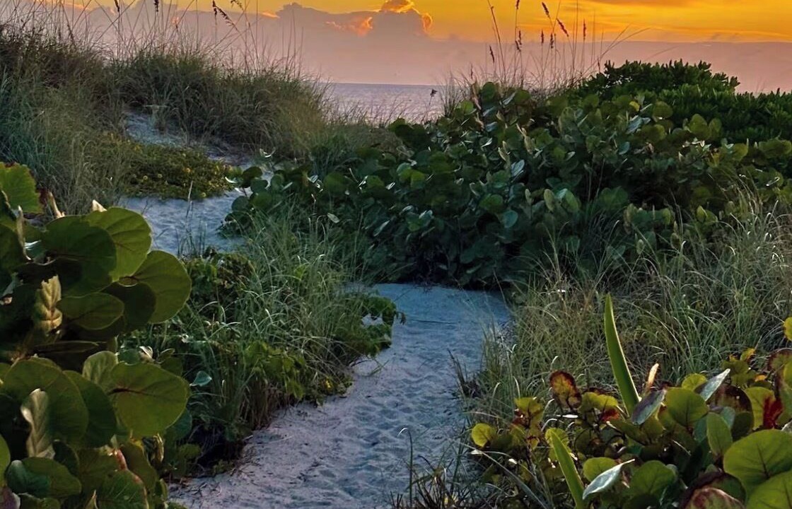 Photo of Others in Orlando Beach