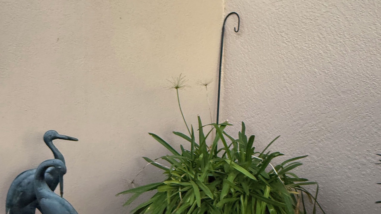 Photo of Outdoor in Rio Ranchero