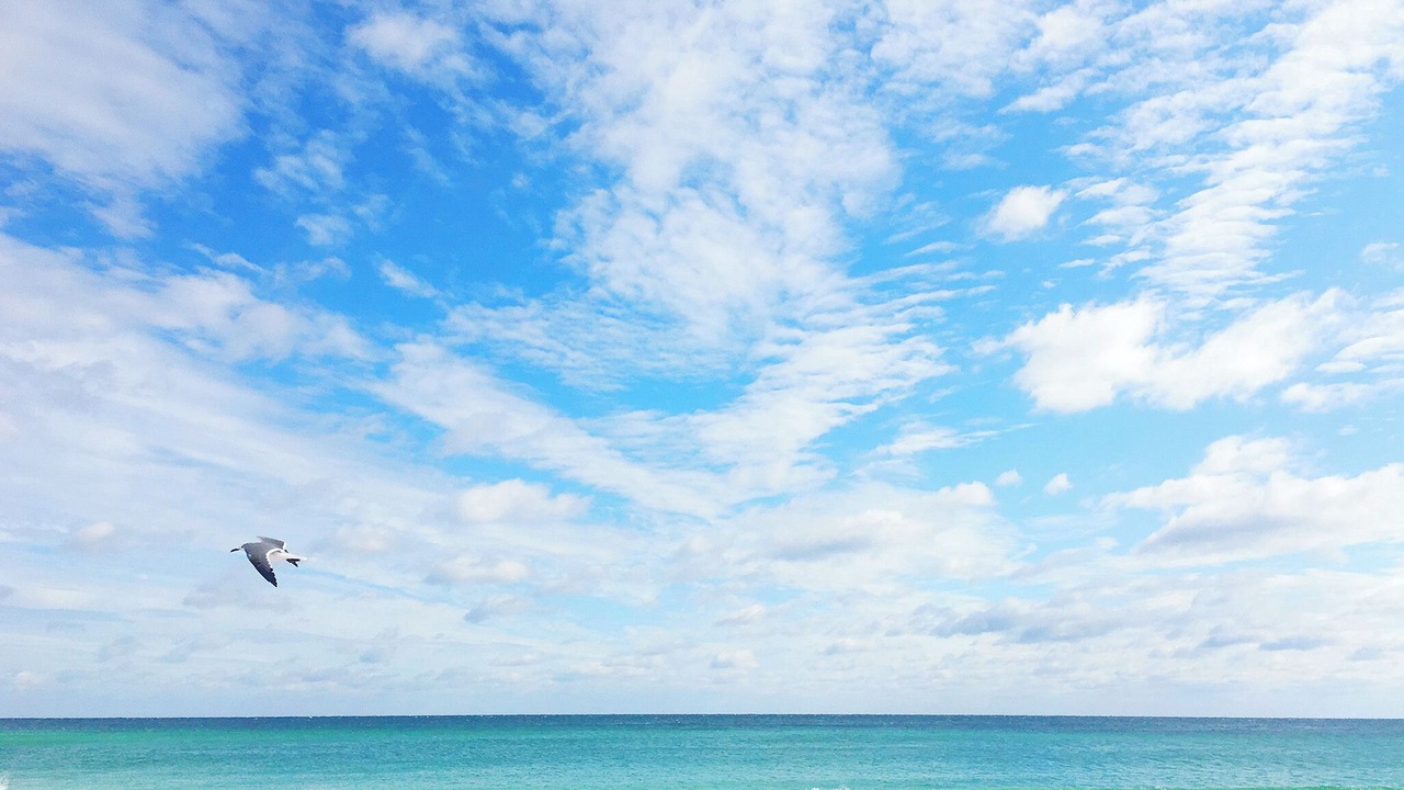 Photo of Others in Miramar Beach