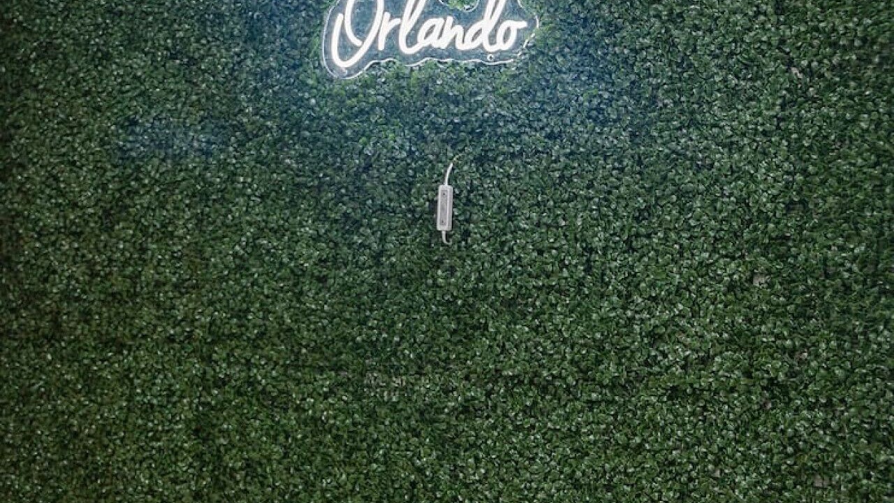 Photo of Others in Lake Eola Heights