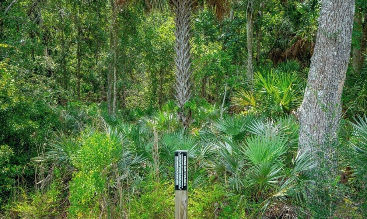 Photo of Others in New Smyrna Beach