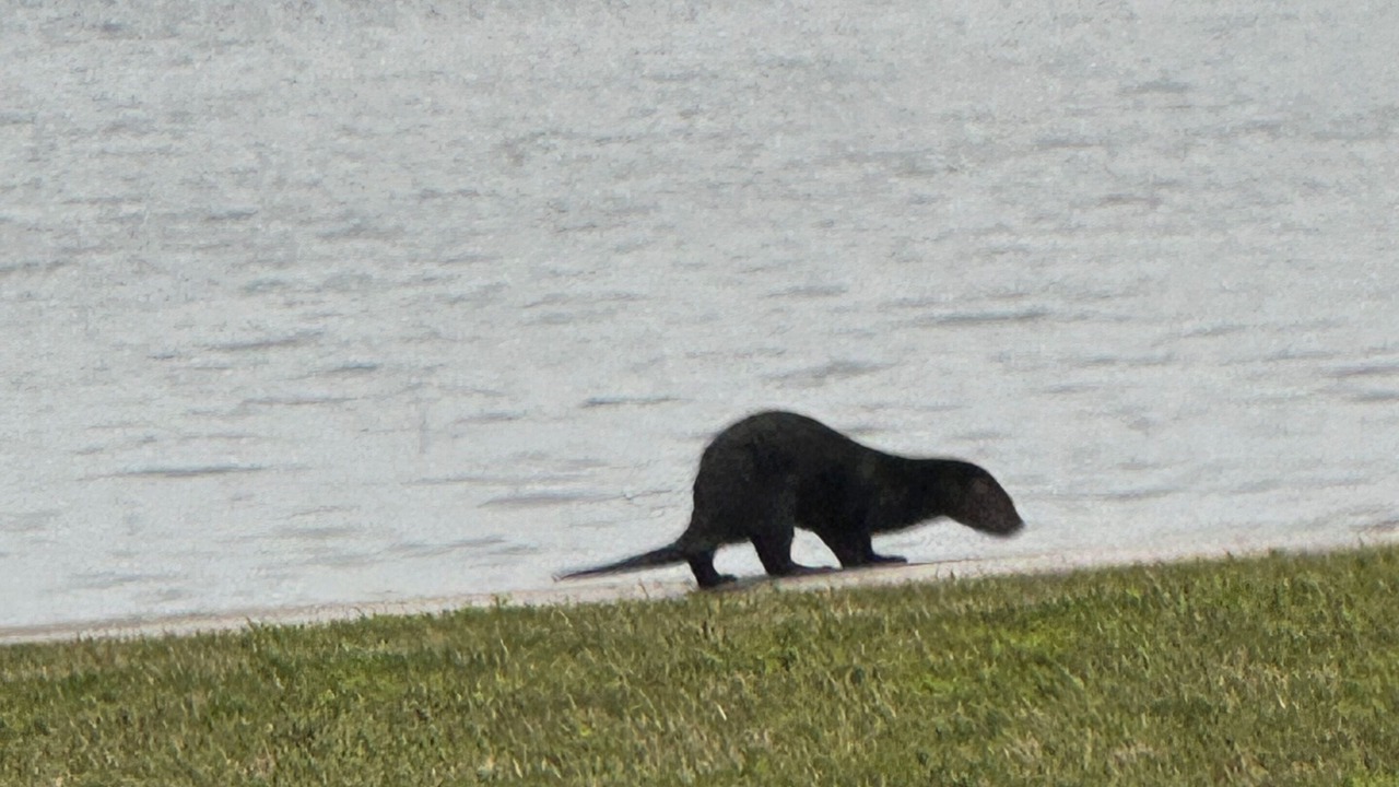 Photo of Others in East Palatka