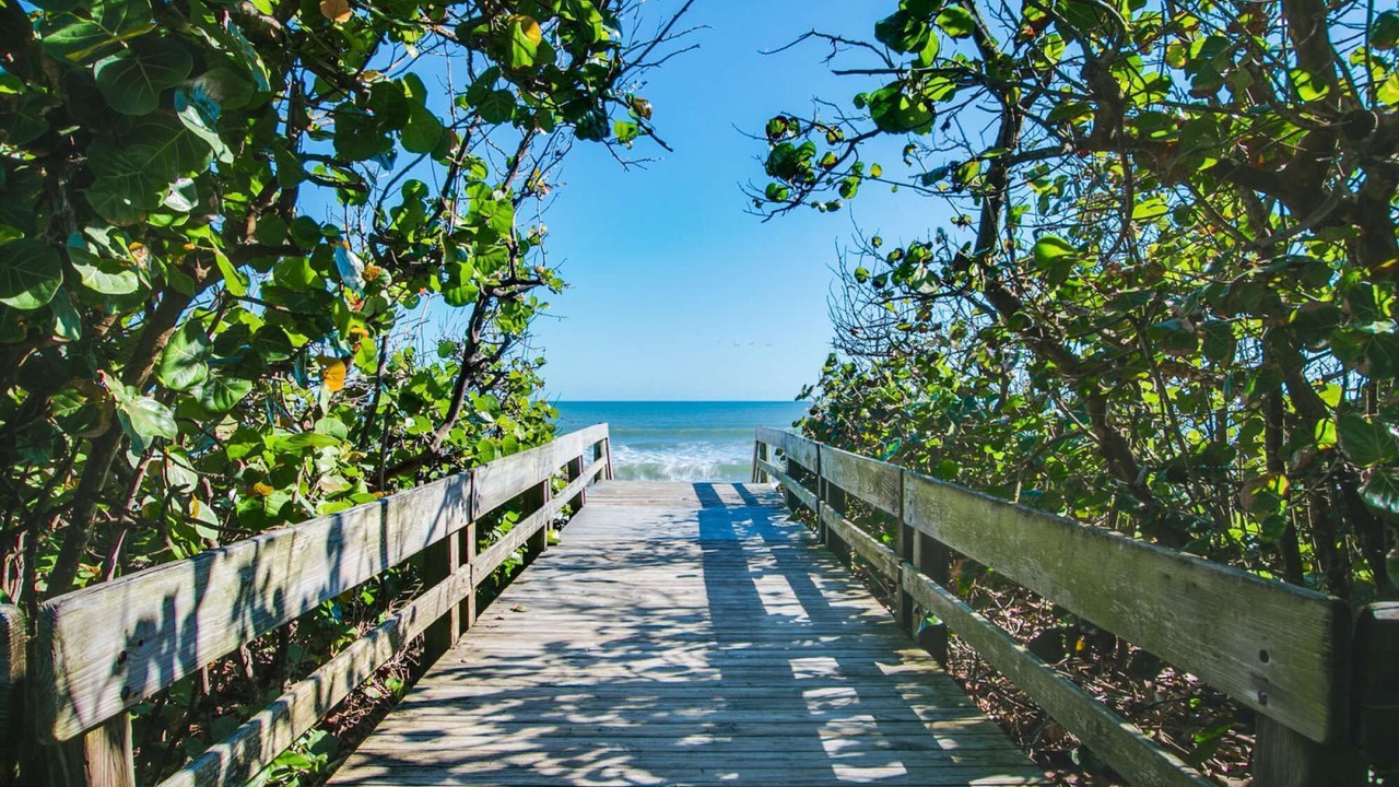 Photo of Others in South Patrick Shores