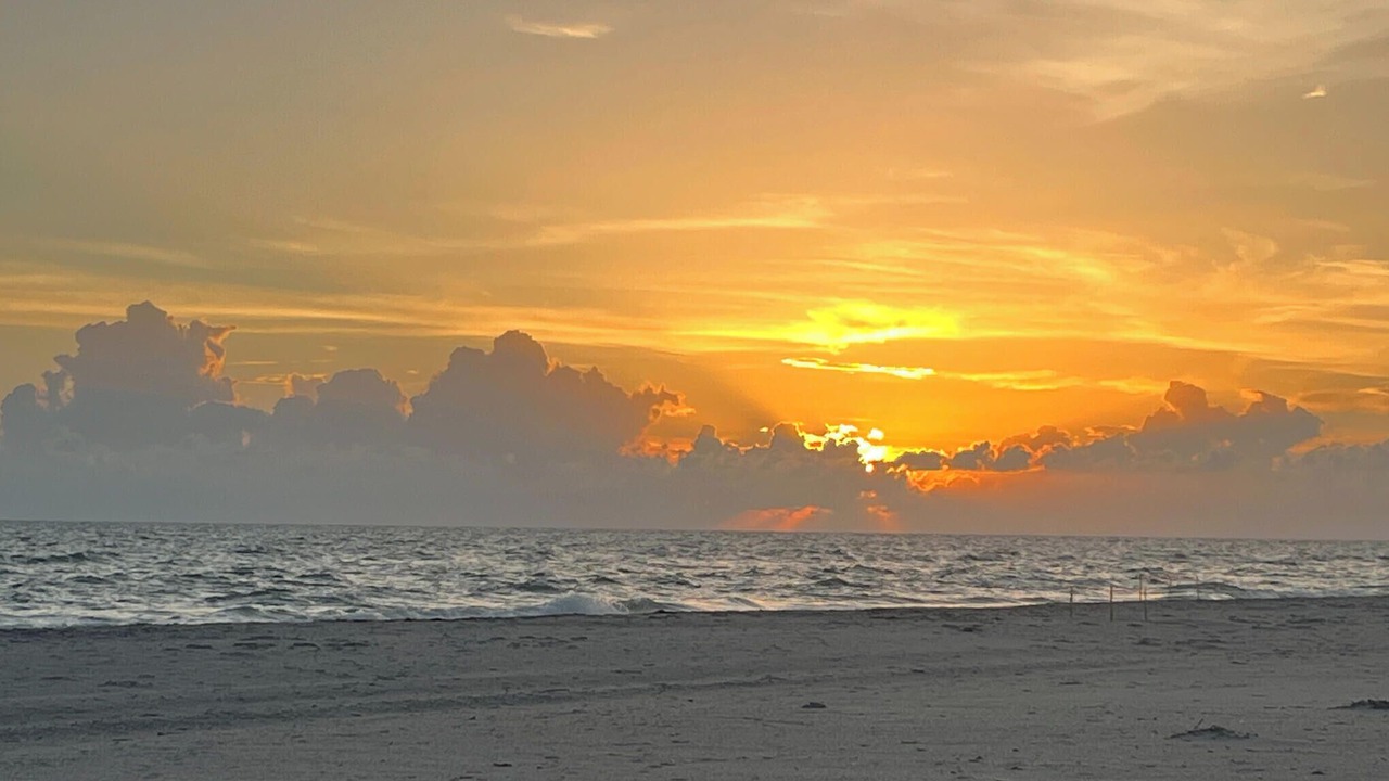 Photo of Others in Palm Island