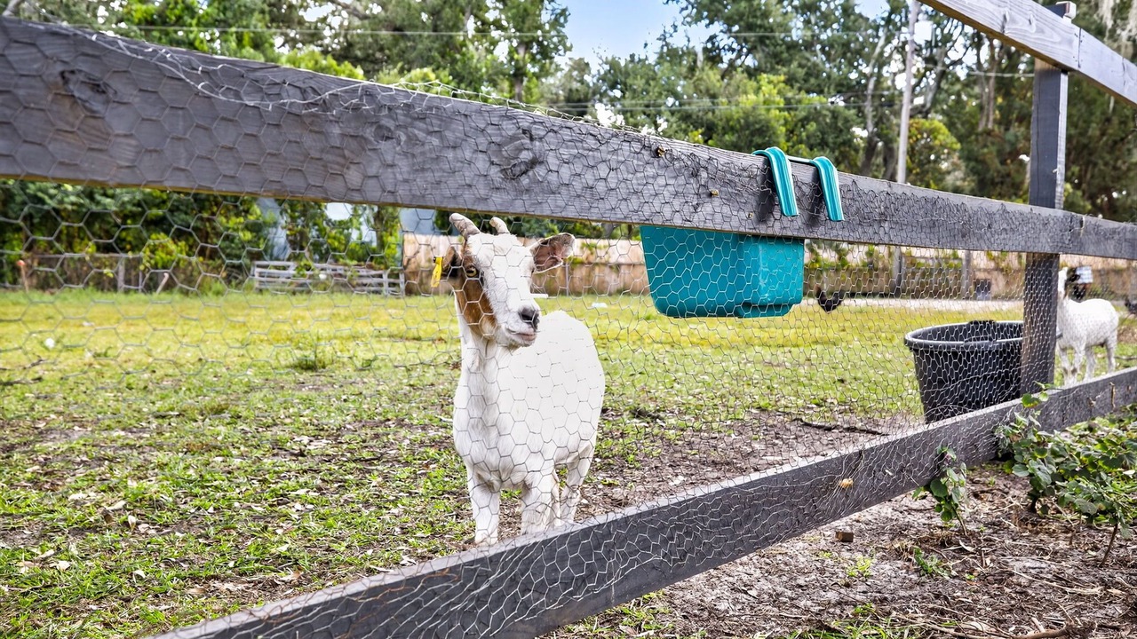 Photo of Outdoor in Tampa