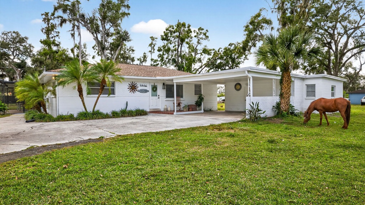 Photo of Outdoor in Tampa