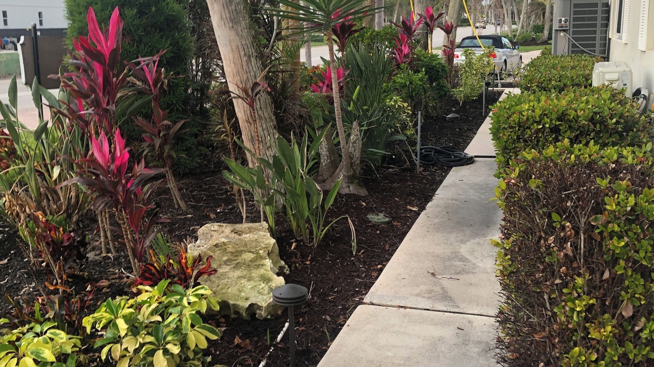 Photo of Outdoor in Coquina Sands