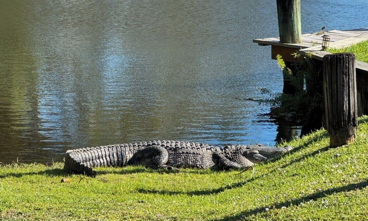 Photo of Others in West Palm Beach
