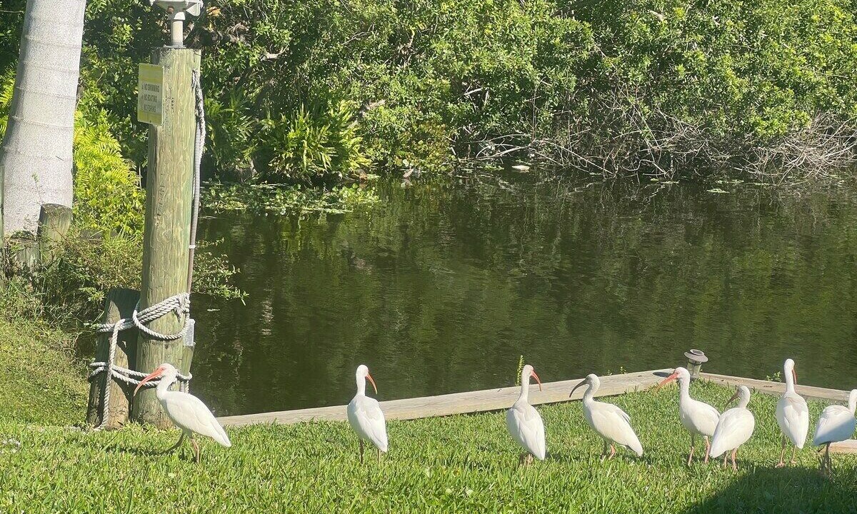 Photo of Others in West Palm Beach