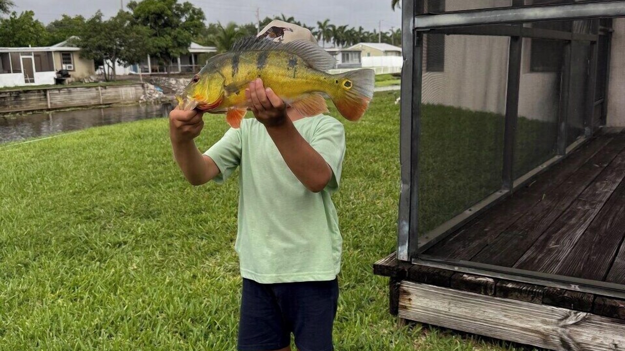 Photo of Others in West Palm Beach