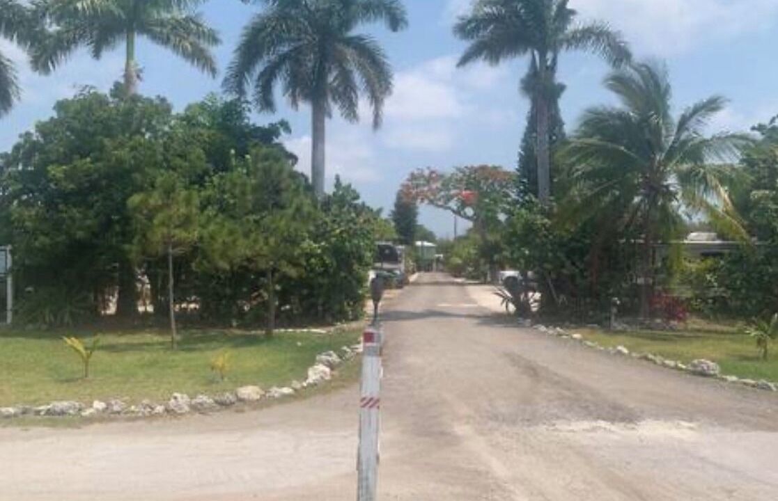 Photo of Others in Big Pine Key