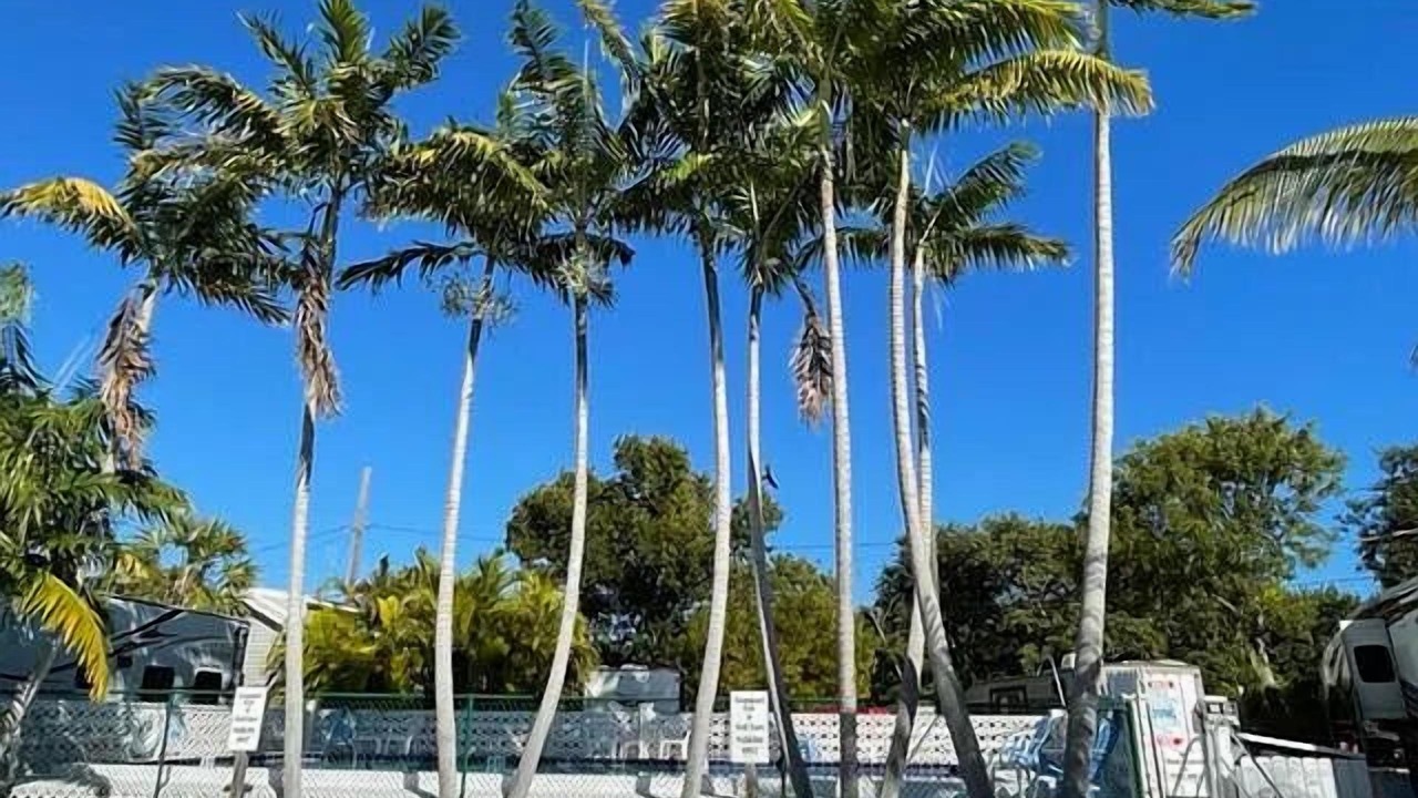 Photo of Outdoor in Big Pine Key
