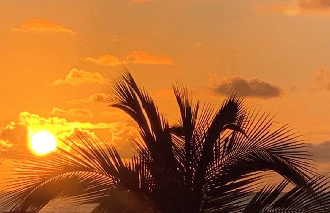 Photo of Others in Big Pine Key