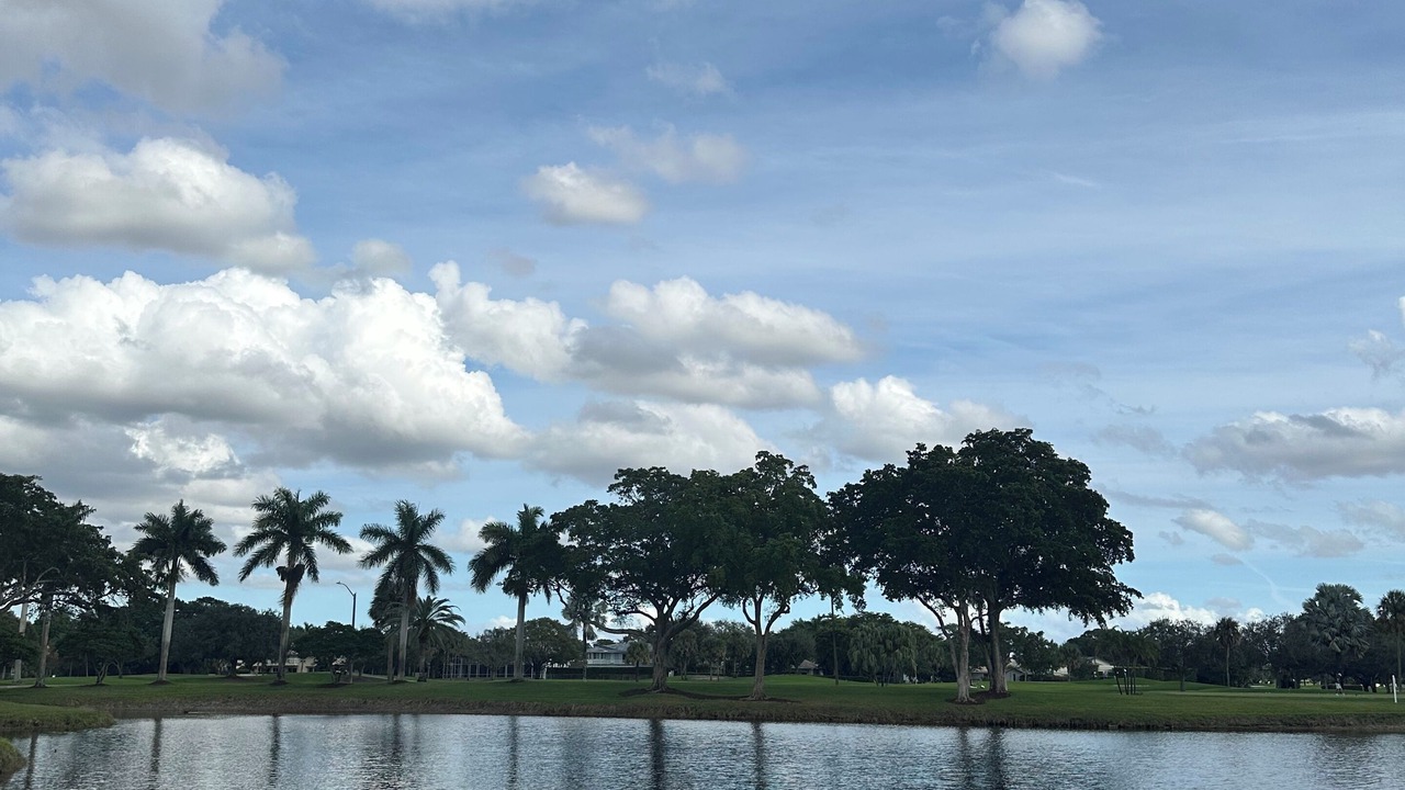 Photo of Others in Plantation