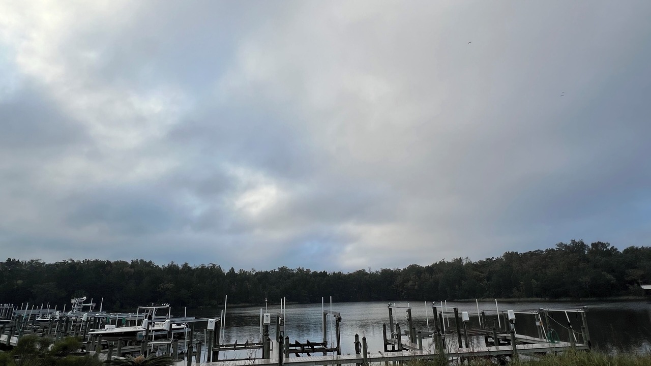 Photo of Others in Crystal River