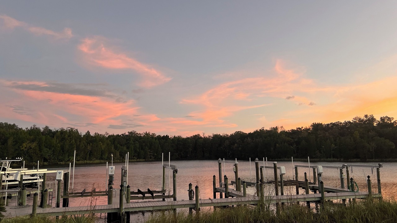 Photo of Others in Crystal River