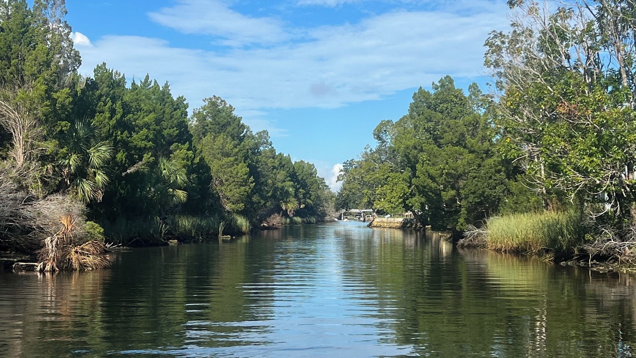Photo of Others in Crystal River