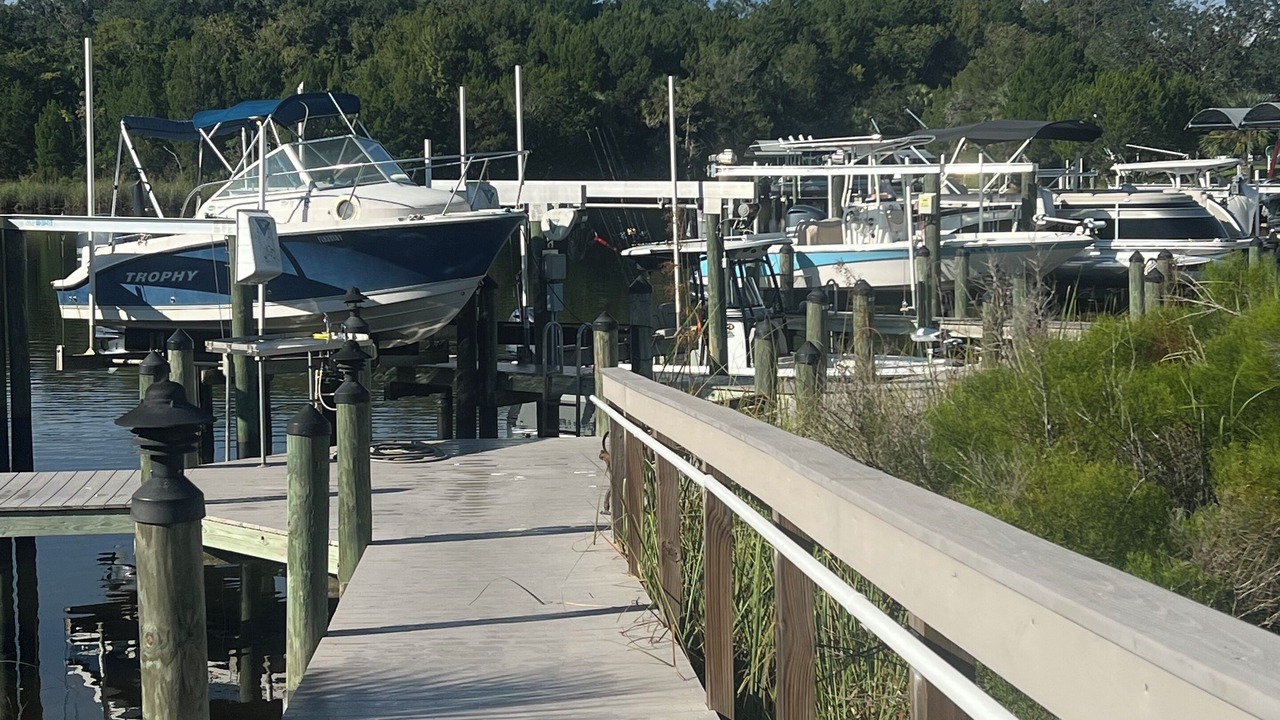 Photo of Others in Crystal River