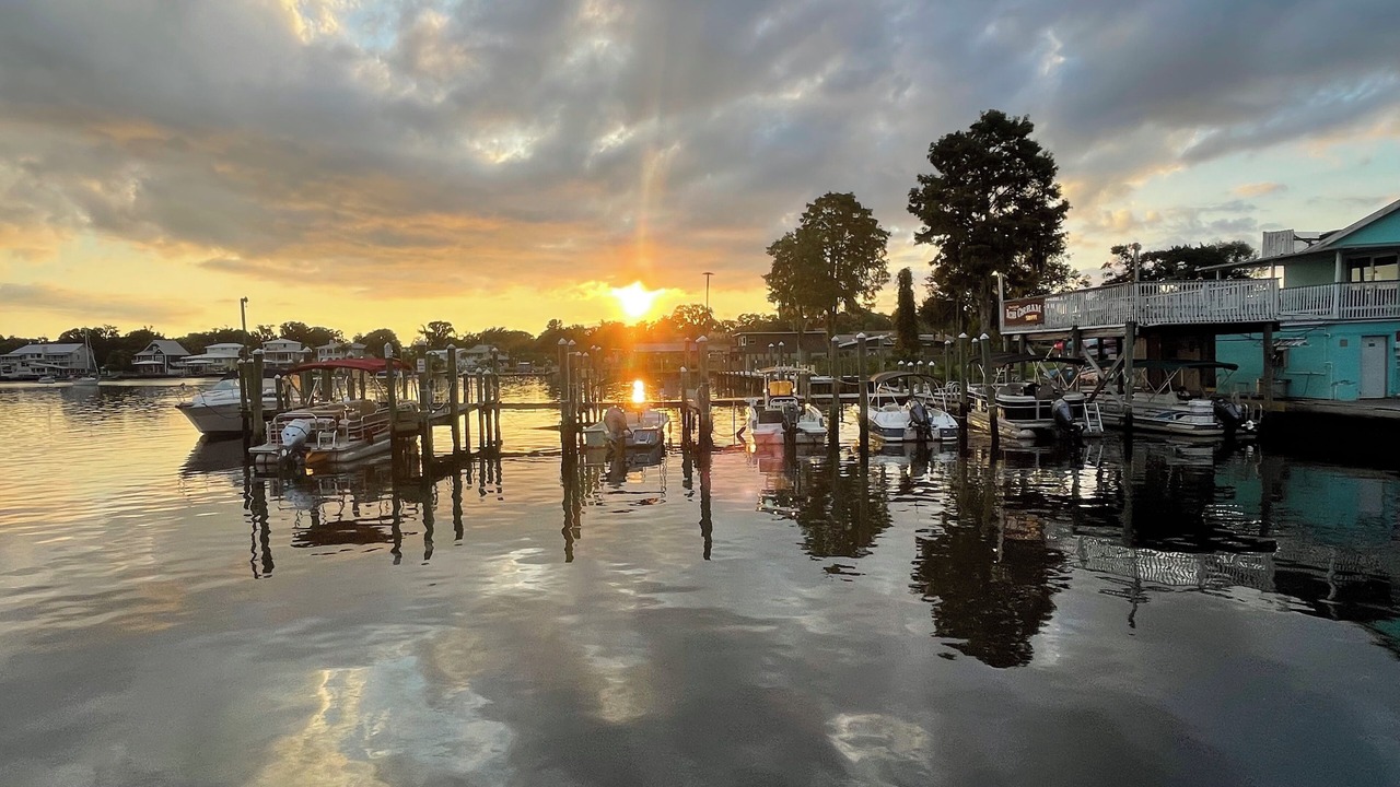 Photo of Others in Crystal River