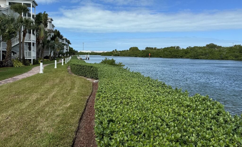Photo of Outdoor in Key West