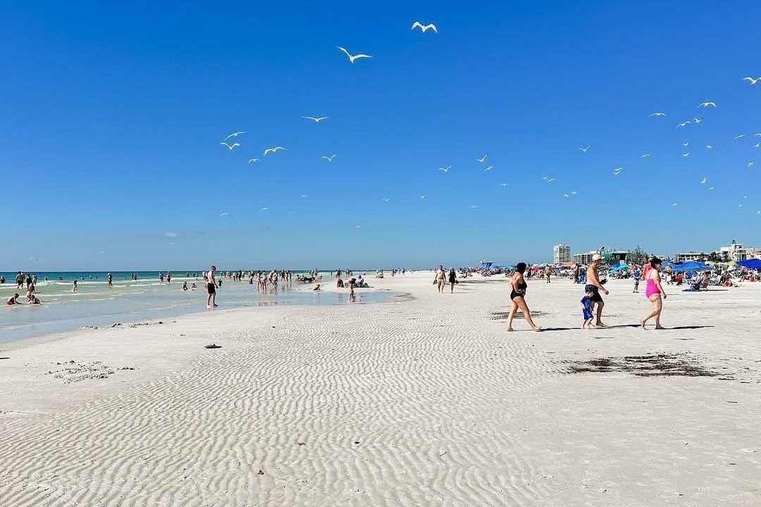 Photo of Others in Siesta Key