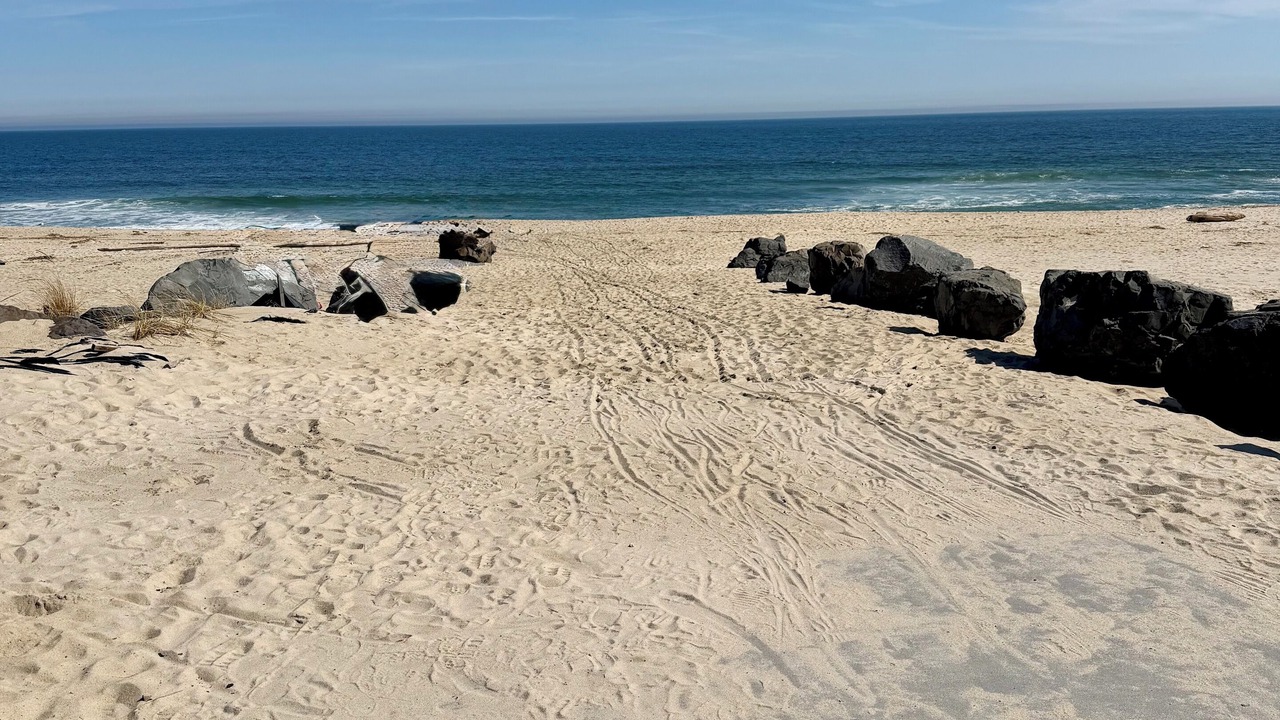 Photo of Others in Long Branch