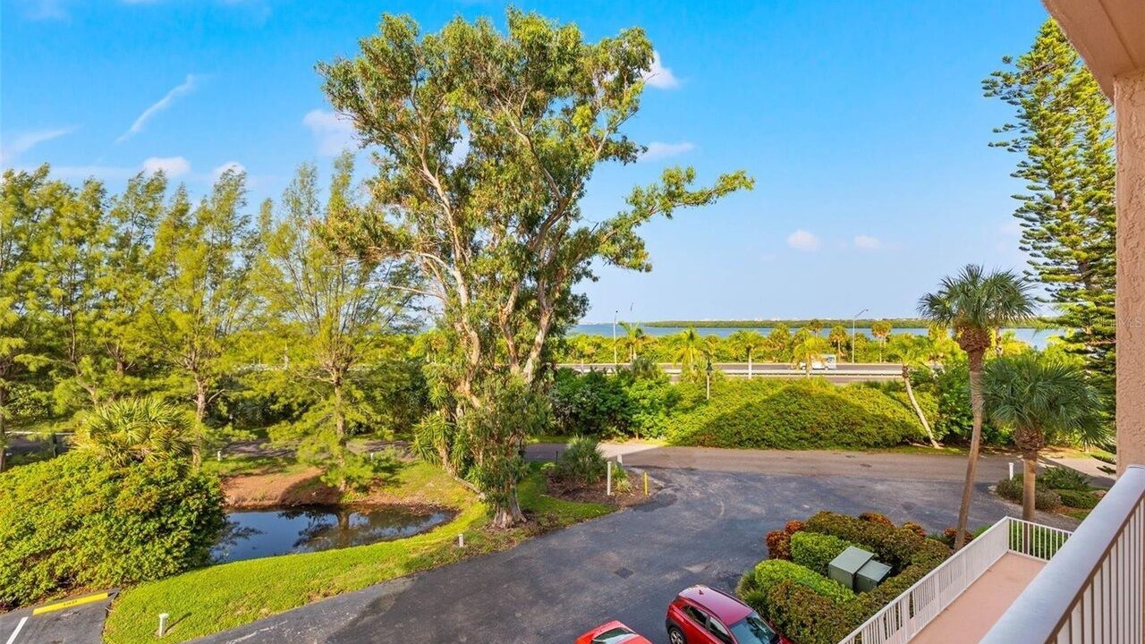 Photo of Outdoor in Pinellas Point