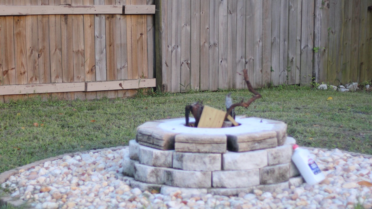 Photo of Outdoor in New Port Richey East
