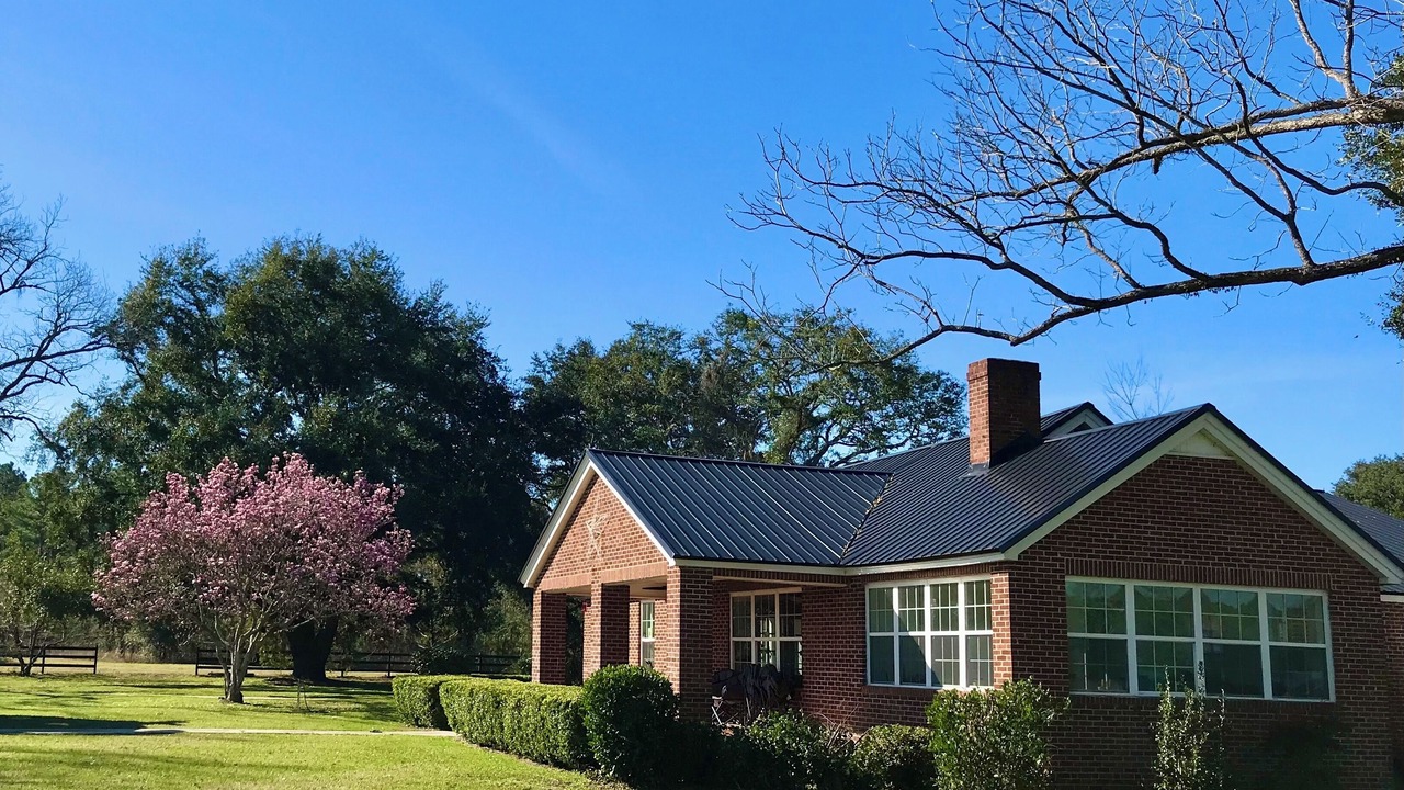 Photo of Outdoor in Camilla