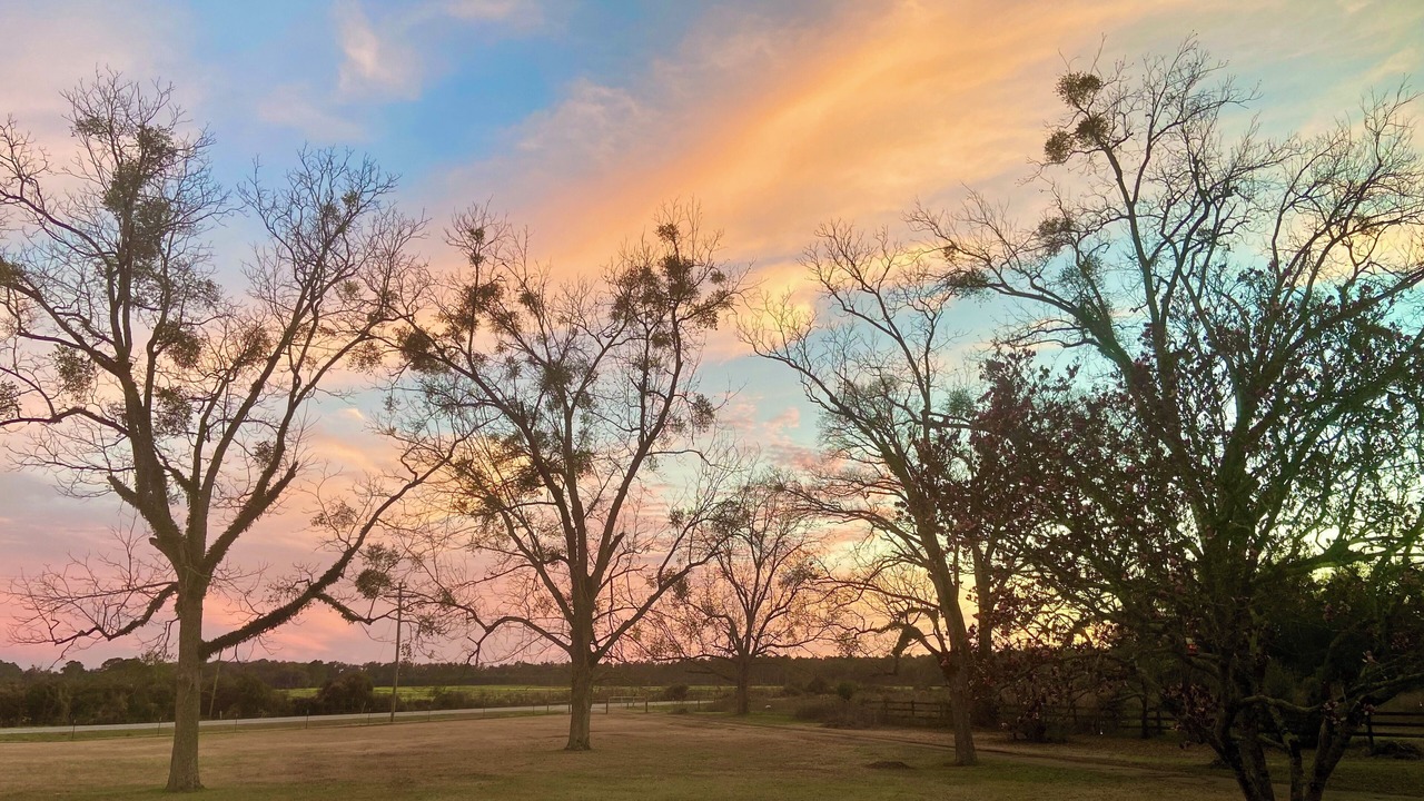 Photo of Outdoor in Camilla