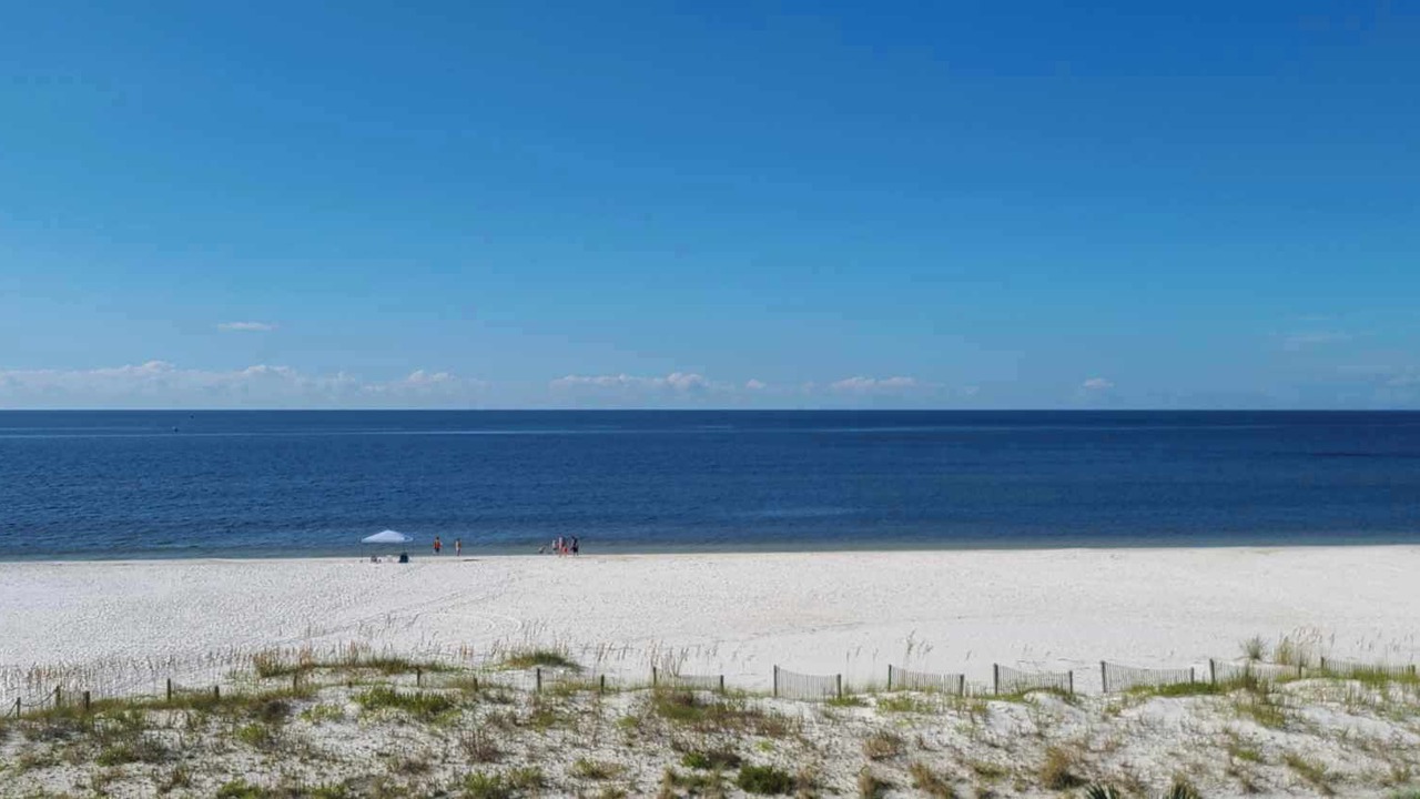 Photo of Others in Mexico Beach