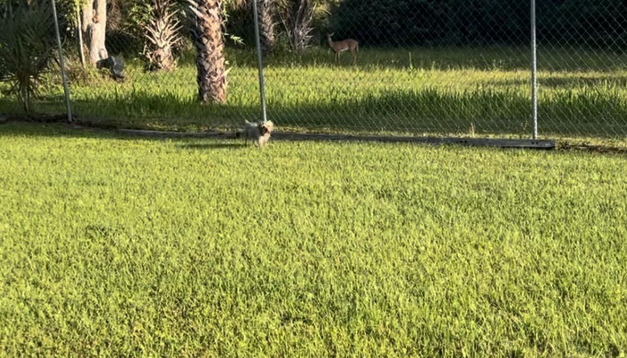 Photo of Outdoor in Rural Estates