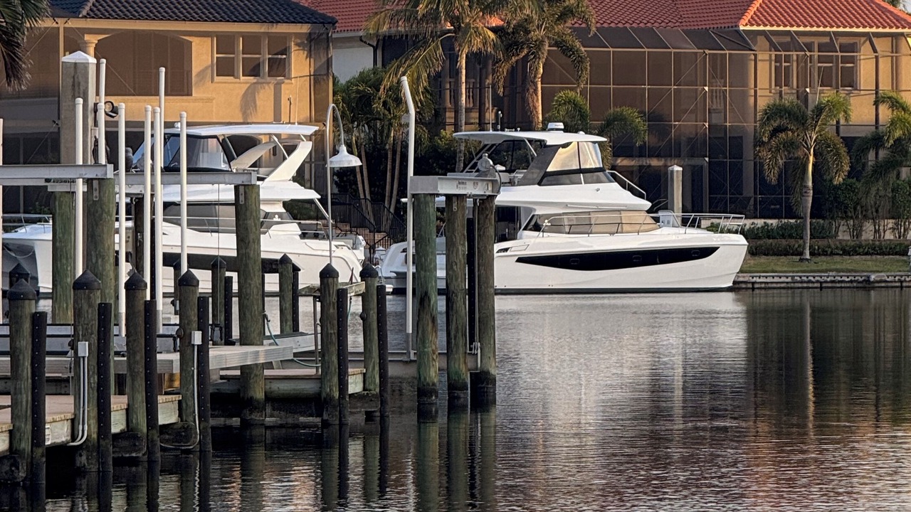 Photo of Others in Palmetto Point