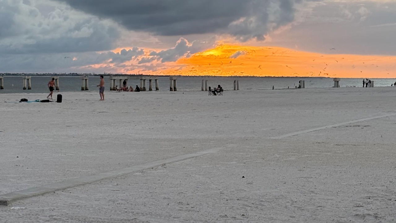 Photo of Others in Mid Island