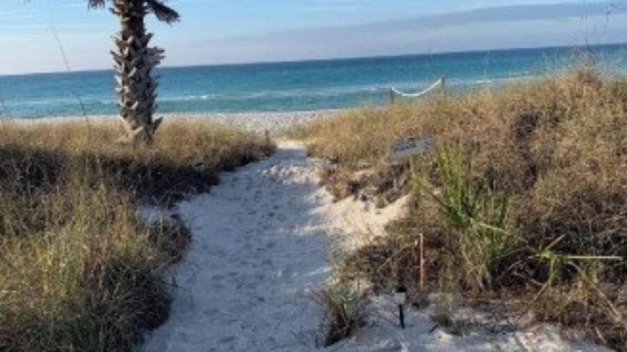 Photo of Others in Bahama Beach